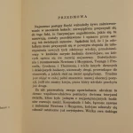 światło (3).JPG