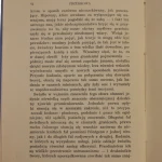 światło (4).JPG