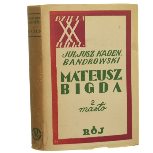 Mateusz Bigda Bandrowski (1).JPG