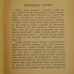 Polskie skrzydła (3).JPG