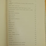 sztuka ludowa (6).JPG