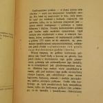 Barwa i chorągiew (3).JPG