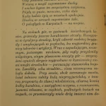 ochotnicy kaukascy (4).JPG