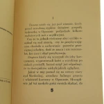 esterka (3).JPG