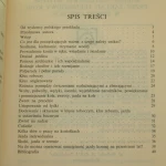 nauka jazdy konnej (3).JPG