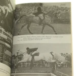 nauka jazdy konnej (4).JPG