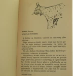 władca doliny morskiego oka (3).JPG