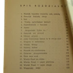 ptaszek jones (5).JPG