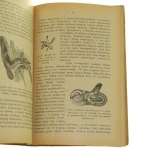 anatomia i fizjologia (5).JPG