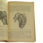 anatomia i fizjologia (6).JPG