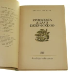 zwierzęta z lasu (2).JPG