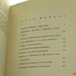 przedziwna historia  (5).JPG