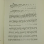 strój ludowy (2).JPG