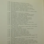 strój ludowy (5).JPG