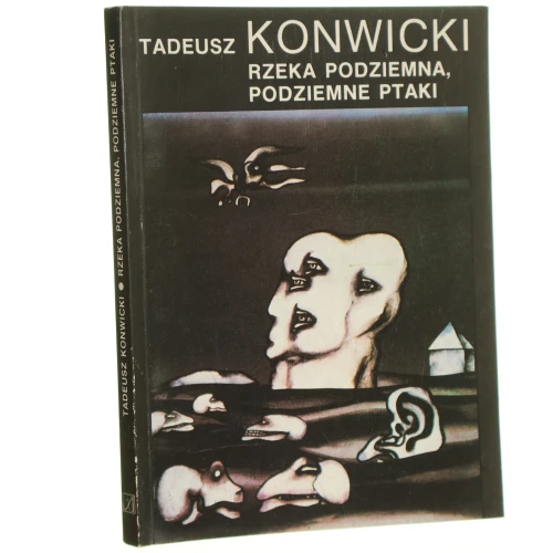 rzeka konwicki (1).JPG
