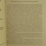 prawo salickie (2).JPG