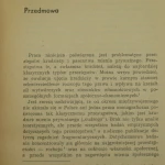 kradzież (2).JPG