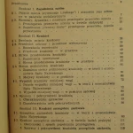 kradzież (3).JPG