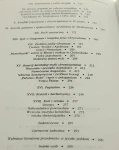 Kościół w epoce wczesnego chrześcijaństwa Henry Chadwick (2004)