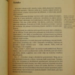 sztuka iczas (3).JPG