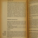 sztuka iczas (4).JPG