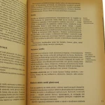 sztuka iczas (5).JPG