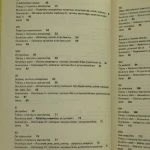 discipulus (4).JPG