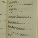 discipulus (5).JPG