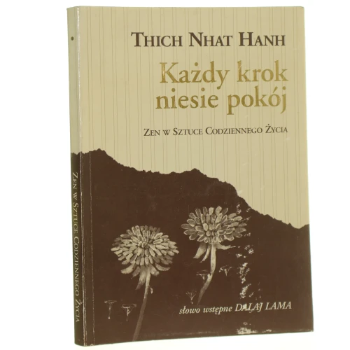 Każdy krok niesie pokój (1).JPG
