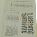 Jastrzębie Zdrój (3).JPG