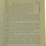 ZAZEN Satori (3).JPG