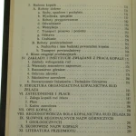 Górnictwo rud żelaza (7).JPG