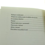Medytacja wglądu (7).JPG
