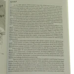 Brzesko Okocim (3).JPG