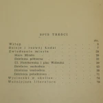 Łódź Przewodnik turystyczny Braun Tadeusz, Żelazko Władysław [1952]