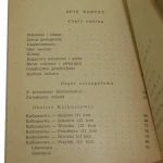Kolbuszowa i okolice (3).JPG