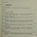 Ujeżdżanie i skoki (4).JPG