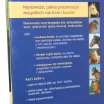 rasy koni (9).JPG