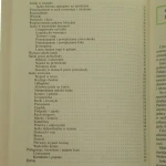Jazda konna (3).JPG