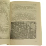 Rozród świń w chowie (8).JPG