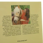 zrozumieć konia (2).JPG