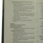 społeczeństwo ryzyka (4).JPG