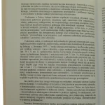 konstytucyjna (3).JPG