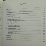 bitwa warszawska (6).JPG