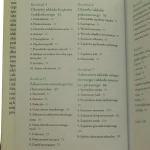 Refleksologia i akupresura dłoni (4).JPG