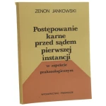 postępowanie karne przed sądem (1).JPG
