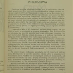 Justycjarjum policjanci (2).JPG