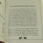 Polonissche Koniks Aus Popielno (3).JPG