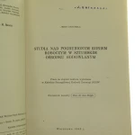 Studia nad pogrubionym koniem roboczym (2).JPG