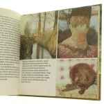 skrzydlaci myśliwi (3).JPG